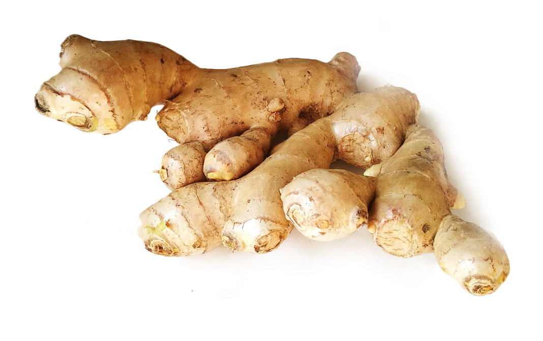 Ginger Complete Information Including Health Benefits Selection Guide And Usage Tips Gotochef 2104